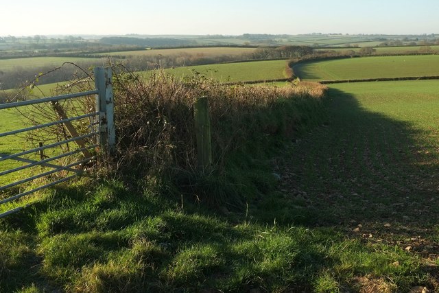 Field boundary above Crabdown Farm