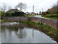 Side pond at the Bratch Locks