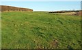 Field above the Mully Brook