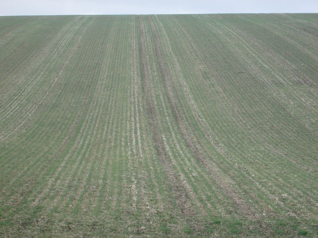 Furrowed field off the Hertfordshire Way