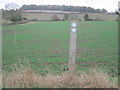 Waymarker near to Mardocks Mill