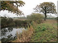 Pond next to the Hertfordshire Way