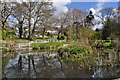 A pond in the grounds of the North Devon Hospice