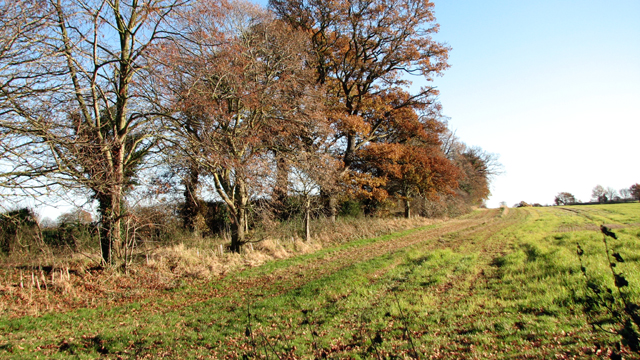 Fields by Stone Lane © Evelyn Simak cc-by-sa/2.0 :: Geograph Britain ...