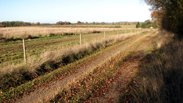 Farm track to Stone Lane