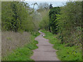 South Staffordshire Railway Walk