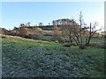 Fields beside a tributary of the Asker, Loders