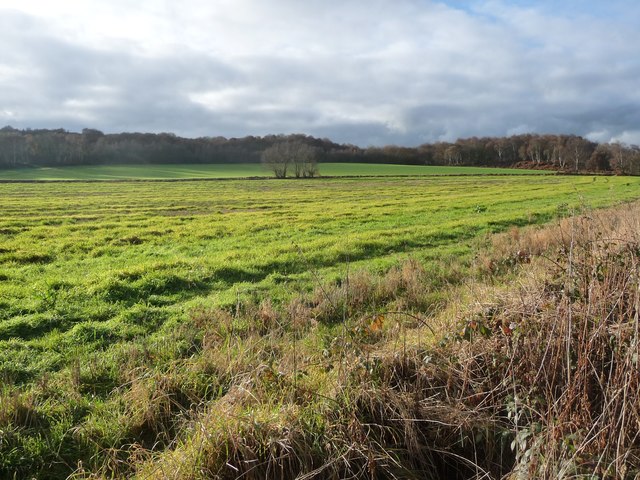 Farmland crossed by a footpath, north of Smithley