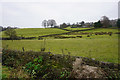 Fields below Foulridge