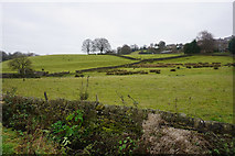 SD8842 : Fields below Foulridge by Bill Boaden
