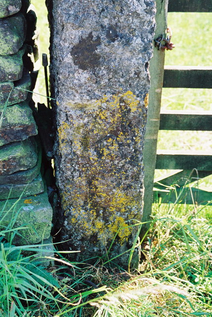 Gatepost on south side of Old Sedbergh Road