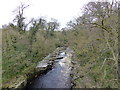 NZ0614 : River Tees upstream of Abbey Bridge by Anthony Foster