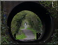 Bridge across the Pensnett Railway Walk