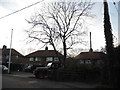 Houses on Russ Hill Road, Charlwood