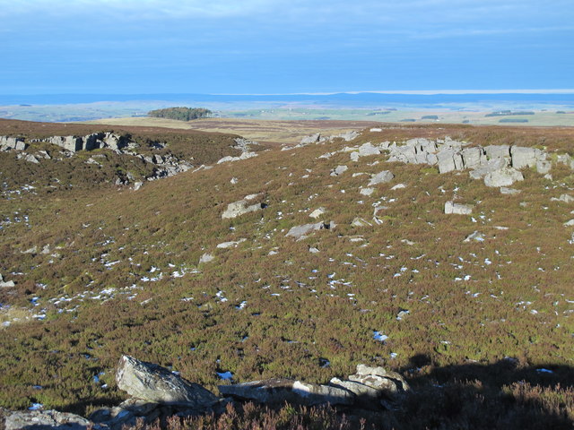 Rock outcrops east of Sinderhope Carrs