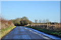 Road towards Tingewick