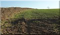 Field boundary near Seckington