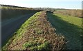 Hedgebank west of Seckington