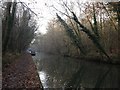 Grand Union Canal towpath