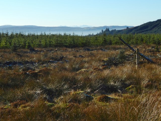 Forestry land on Darleith Muir