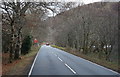 A828 towards Benderloch