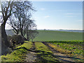 Farm track and bridleway heading downhill