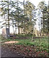 Disused tree-lined drive on the north side of Monks Hill Road