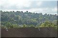 Looking across the Wey Valley