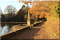 Hartsholme Lake, North Terrace