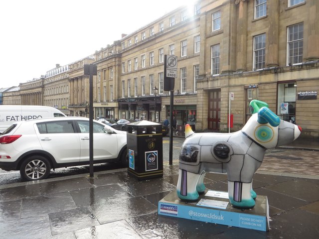 Great North Snowdog Essence of the North, Grey Street, Newcastle upon Tyne
