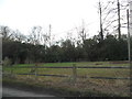 Field by Smalls Hill Road, Mynthurst