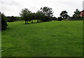 Summer view towards Somerton, Newport