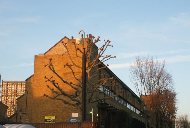 View of trees and apartments on Acklam Road from the Portobello Road Winter Festival