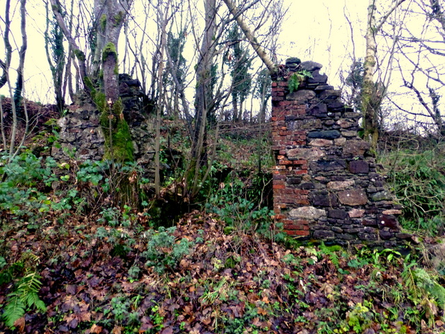 Remains of a ruin, Bracky