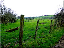 H5371 : Wire fence, Bancran by Kenneth  Allen