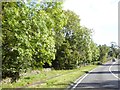 The end of the pavement east of Long Preston