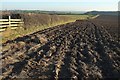 Ploughed field, Cranford