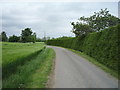 Minor road near Lake House