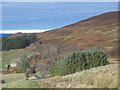 East Allen Dale around Sipton Bridge