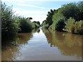 Llangollen Canal, between bridges 43 and 44