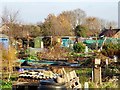 Wilmot Street Allotments