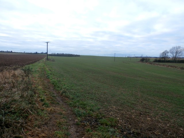 Footpath and Fields at Skelbrooke