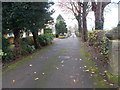 Driveway to Thorny Croft Stables - Boston Road