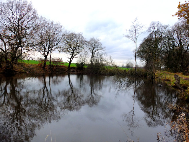 Fish pond South of Blainscough Hall,... © Gary Rogers :: Geograph ...