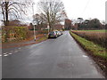 Primrose Lane - viewed from Westwood Way