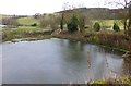 Pond at Cherrytrees