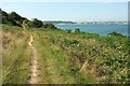 SW8433 : Path to St Mawes by Derek Harper