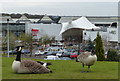 The Merry Hill Shopping Centre at Dudley