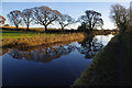 SD4850 : Lancaster Canal, Forton by Ian Taylor