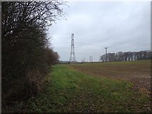 SK7111 : Leicestershire Round towards Ashby Folville by Dave Thompson